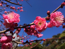 Евгения (Россия), январь 2017 Евгения (Россия), январь 2017