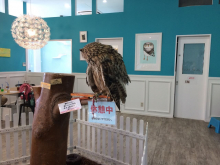 Галина (Петропавловск-Камчатский), июль 2017 Галина (Петропавловск-Камчатский), июль 2017