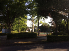 Галина (Петропавловск-Камчатский), июль 2017 Галина (Петропавловск-Камчатский), июль 2017