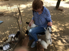 Галина (Петропавловск-Камчатский), июль 2017 Галина (Петропавловск-Камчатский), июль 2017