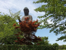 Галина (Петропавловск-Камчатский), июль 2017 Галина (Петропавловск-Камчатский), июль 2017