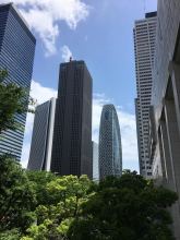 Olga Tomashkevich, май 2019 Olga Tomashkevich, май 2019