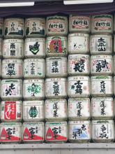 Olga Tomashkevich, май 2019 Olga Tomashkevich, май 2019