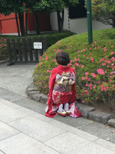 Olga Tomashkevich, май 2019 Olga Tomashkevich, май 2019