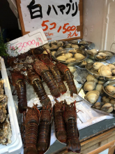 Olga Tomashkevich, май 2019 Olga Tomashkevich, май 2019