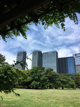 Olga Tomashkevich, май 2019 Olga Tomashkevich, май 2019