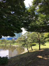 Olga Tomashkevich, май 2019 Olga Tomashkevich, май 2019