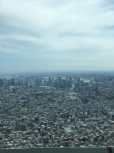 Olga Tomashkevich, май 2019 Olga Tomashkevich, май 2019