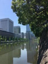 Olga Tomashkevich, май 2019 Olga Tomashkevich, май 2019