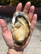 Olga Tomashkevich, май 2019 Olga Tomashkevich, май 2019