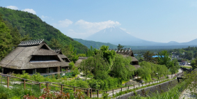 Ирина и Борис из Канады