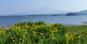 Ирина и Борис из Канады