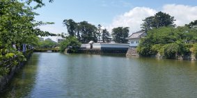 Обзорная экскурсия по Токио и Хаконэ