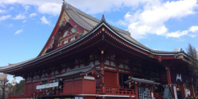 Евгения (Россия), январь 2017