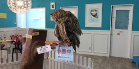 Галина (Петропавловск-Камчатский), июль 2017