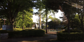 Галина (Петропавловск-Камчатский), июль 2017