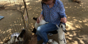 Галина (Петропавловск-Камчатский), июль 2017