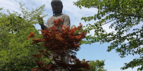 Галина (Петропавловск-Камчатский), июль 2017