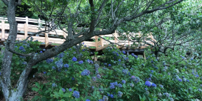 Галина (Петропавловск-Камчатский), июль 2017