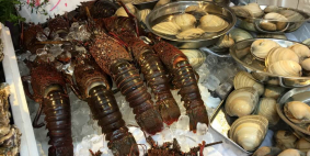 Olga Tomashkevich, май 2019