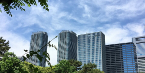 Olga Tomashkevich, май 2019