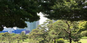 Olga Tomashkevich, май 2019