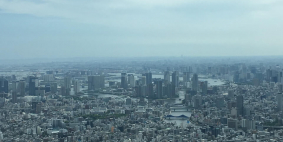 Olga Tomashkevich, май 2019