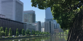 Olga Tomashkevich, май 2019