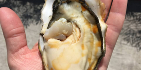 Olga Tomashkevich, май 2019